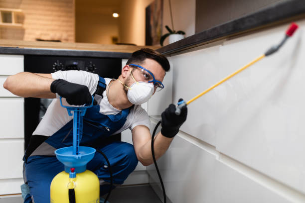 Best Local Pest Control Services  in Primera, TX