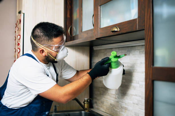 Best Pest Inspection Near Me  in Primera, TX