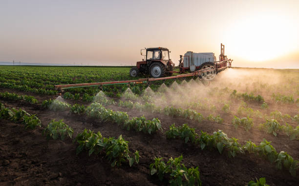 Best Pest Prevention Services  in Primera, TX