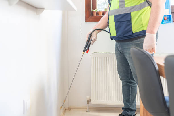 Best Affordable Pest Control Services  in Primera, TX