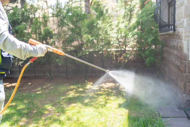 Best Cockroach Control Services  in Primera, TX
