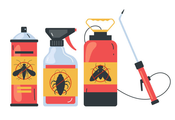 Best Termite Control Services  in Primera, TX